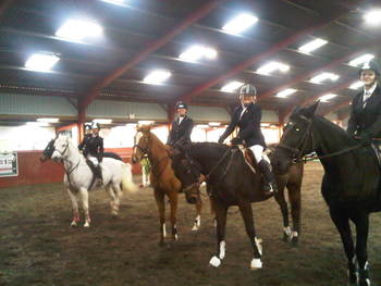 Horse World Club Show Horse World Club Show
